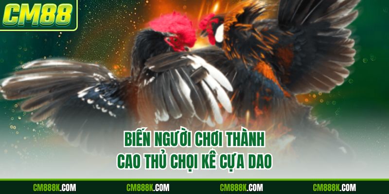 Biến người chơi thành cao thủ chọi kê cựa dao