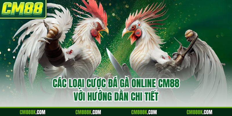 Các loại cược đá gà online CM88 với hướng dẫn chi tiết