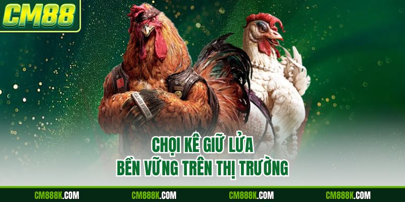 Chọi kê giữ lửa bền vững trên thị trường