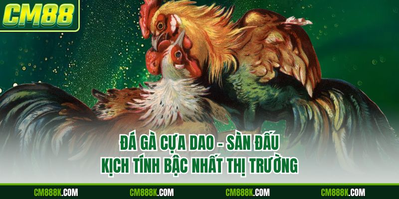 Đá Gà Cựa Dao – Sàn Đấu Kịch Tính Bậc Nhất Thị Trường
